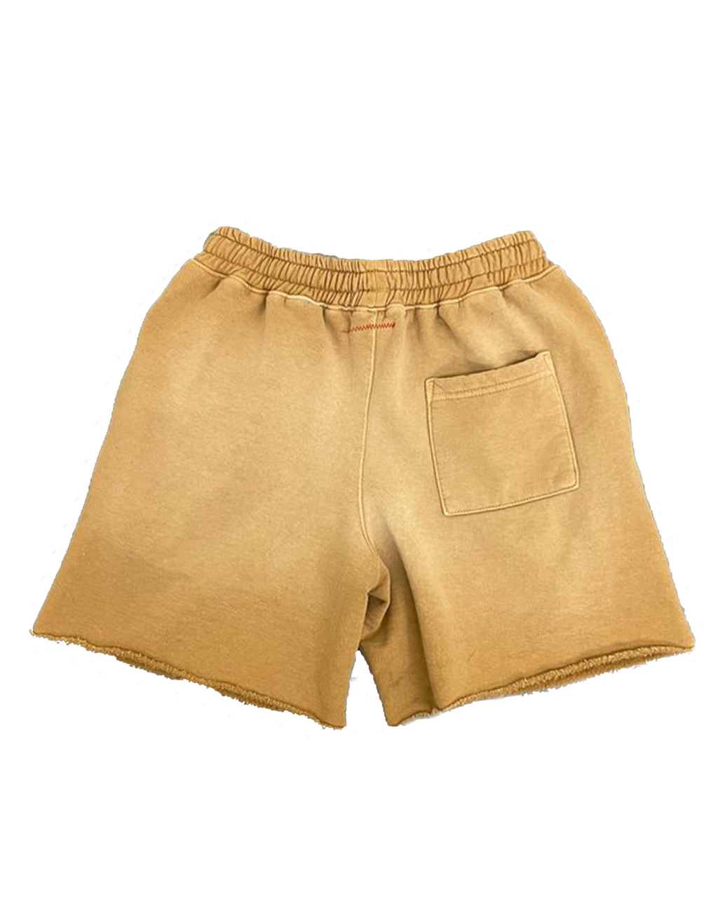 TAKEOVER SHORTS